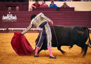 20170706CPQCORRIDAFH250