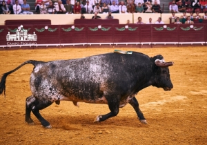 20170907 CPQCORRIDA017