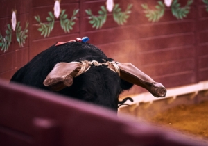 20171012 CPQCORRIDA039
