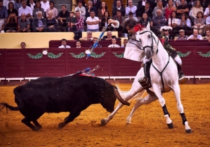 20171012 CPQCORRIDA042