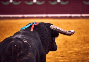 20171012 CPQCORRIDA117