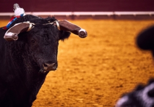 20171012 CPQCORRIDA119