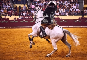 20171012 CPQCORRIDA175