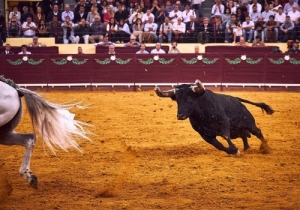 20171012 CPQCORRIDA176