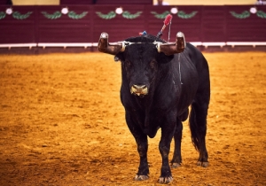 20171012 CPQCORRIDA177