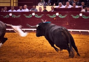 20171012 CPQCORRIDA219