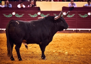 20171012 CPQCORRIDA220