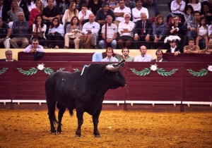 20171012 CPQCORRIDA255