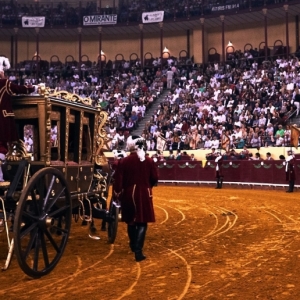 CAMPO PEQUENO TV