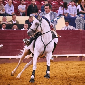 CAMPO PEQUENO TV