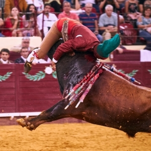 CAMPO PEQUENO TV
