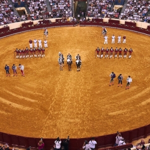 CAMPO PEQUENO TV