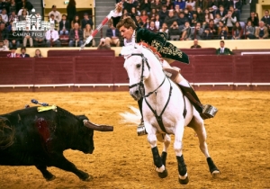 NOVILHADA 28 ABRIL 2018