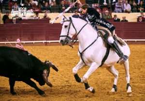 NOVILHADA 28 ABRIL 2018