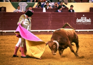 NOVILHADA 28 ABRIL 2018