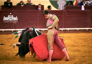 NOVILHADA 28 ABRIL 2018