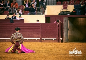 NOVILHADA 28 ABRIL 2018