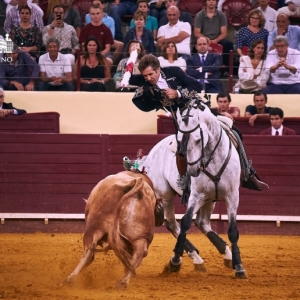 CAMPO PEQUENO TV