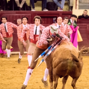 CAMPO PEQUENO TV