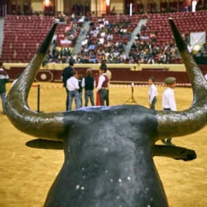 CAMPO PEQUENO TV