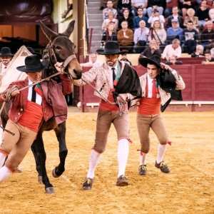 CAMPO PEQUENO TV