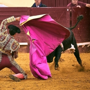CAMPO PEQUENO TV