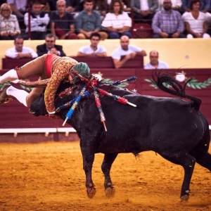 CAMPO PEQUENO TV