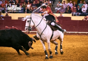 CORRIDA VIDAS - 17 MAIO 2018