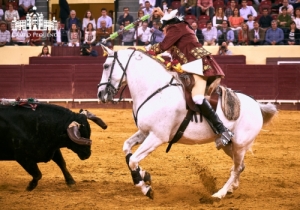 CORRIDA VIDAS - 17 MAIO 2018