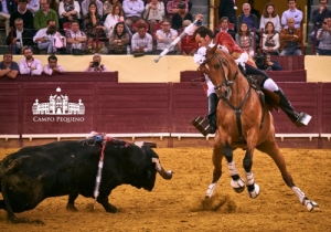 CORRIDA VIDAS - 17 MAIO 2018