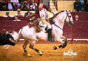 CORRIDA VIDAS - 17 MAIO 2018