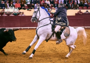 CORRIDA CM 7 JUNHO 2018 (1)