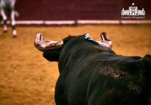 CORRIDA CM 7 JUNHO 2018 (18)