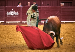 CORRIDA CM 7 JUNHO 2018 (75)