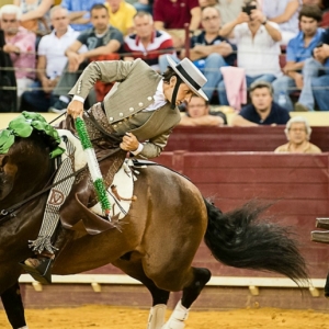 CAMPO PEQUENO TV