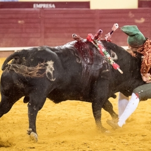 CAMPO PEQUENO TV