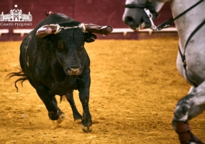 20180621 CPQCORRIDA .FH0084