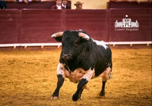 CORRIDA MISTA | 5 JULHO 2018