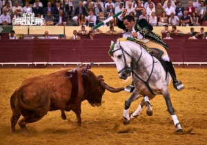 CORRIDA O MIRANTE - CONCURSO DE PEGAS 19 JULHO 2018 (61)