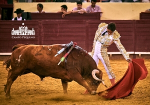 SENSACIONAL CORRIDA MISTA 2 AGOSTO 2018 (18)