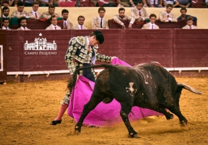 SENSACIONAL CORRIDA MISTA 2 AGOSTO 2018 (22)