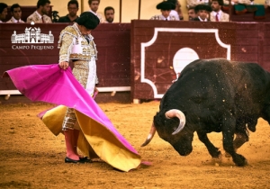 SENSACIONAL CORRIDA MISTA 2 AGOSTO 2018 (40)