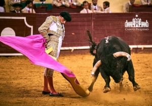 SENSACIONAL CORRIDA MISTA 2 AGOSTO 2018 (41)