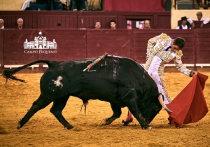 SENSACIONAL CORRIDA MISTA 2 AGOSTO 2018 (46)