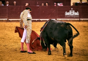 SENSACIONAL CORRIDA MISTA 2 AGOSTO 2018 (51)