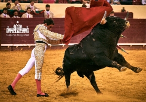 SENSACIONAL CORRIDA MISTA 2 AGOSTO 2018 (54)