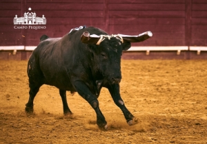 CORRIDA DO EMIGRANTE 9 AGOSTO 2018 (23)