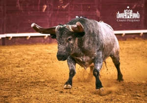 CORRIDA DO EMIGRANTE 9 AGOSTO 2018 (42)