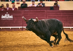 CORRIDA DO EMIGRANTE 9 AGOSTO 2018 (51)