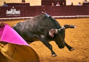 CORRIDA DO EMIGRANTE 9 AGOSTO 2018 (65)